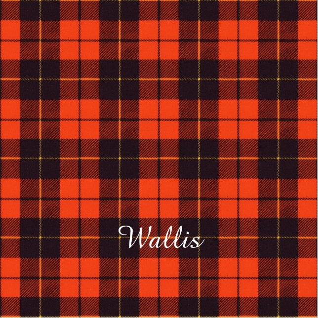 Wallis clan Plaid Scottish tartan Statuette (Front)