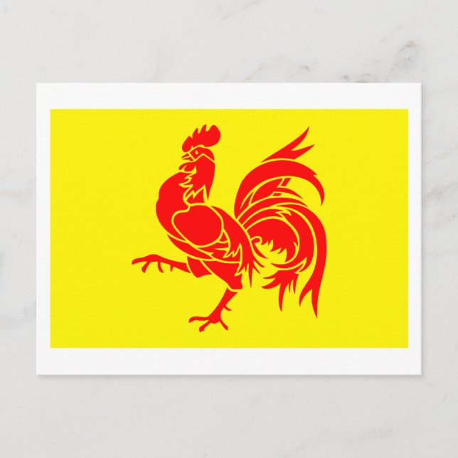 Walloon Region Flag Postcard (Front)