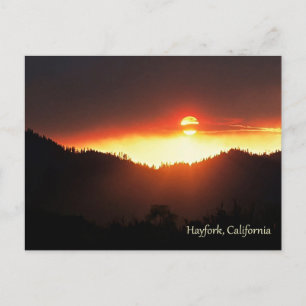 Wallow's Fire of 2007 Postcard