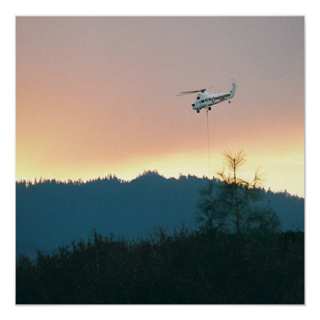 Wallows Fire of 2007... Poster (Front)