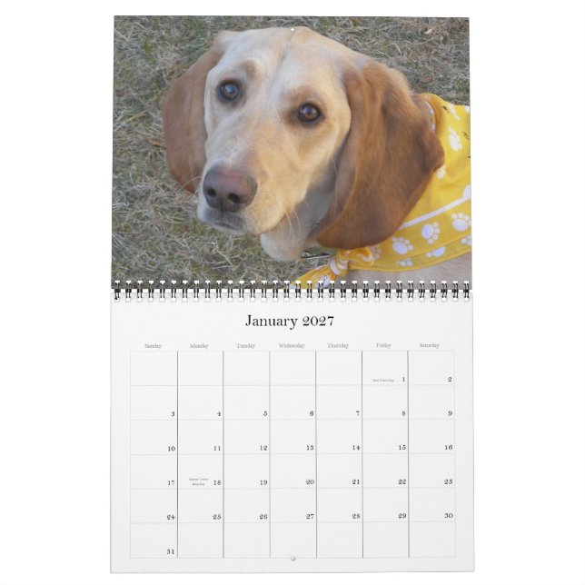 Wally The Wonder Dog 2009 Calendar (Jan 2027)