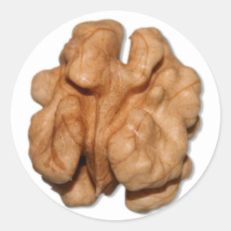 Walnut Classic Round Sticker
