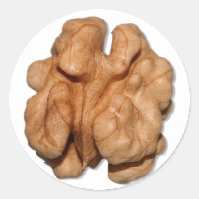 Walnut Classic Round Sticker (Front)
