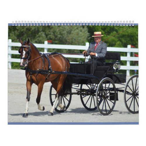 Walnut Hill Carriage Driving Horse Show Calendar