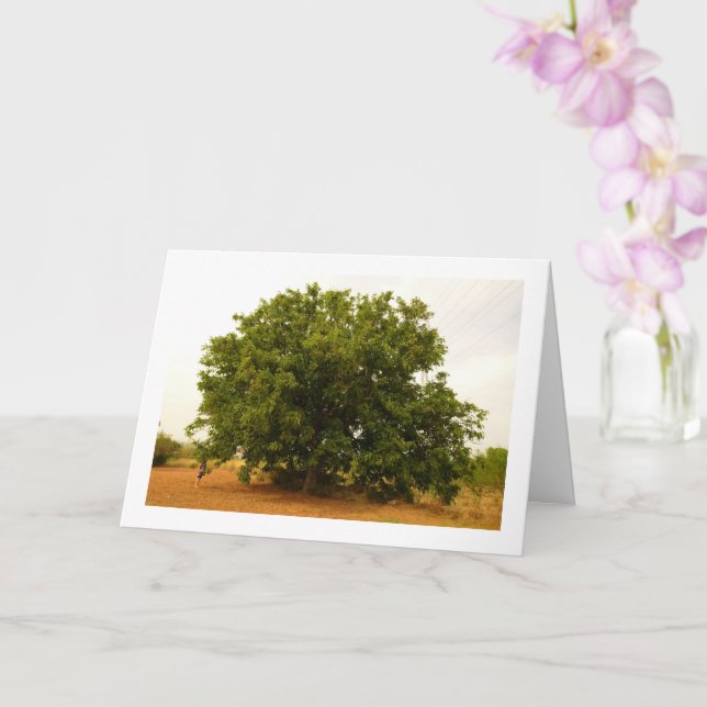 Walnut Tree Landscape Card (Orchid)
