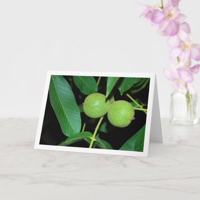 Walnut Tree Portrait Card (Orchid)