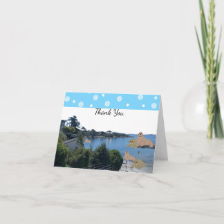 Walrus an Sea Lions Thank You Card