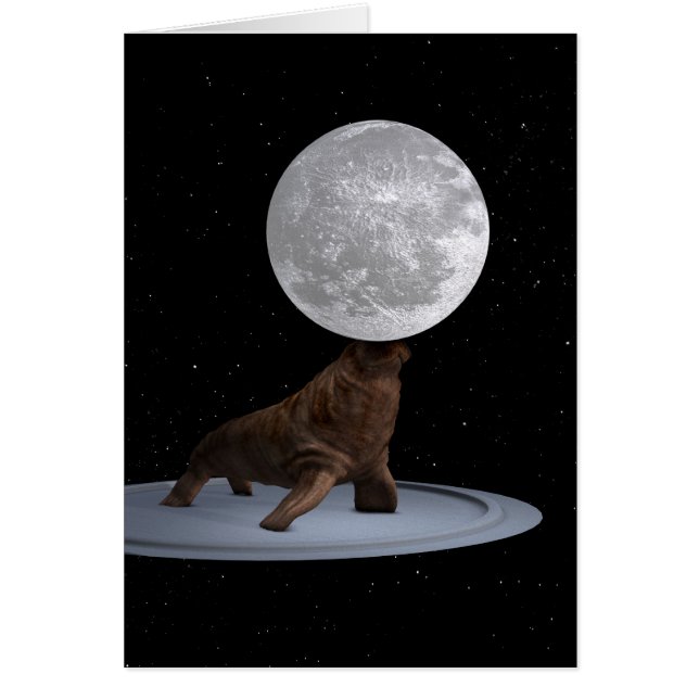 Walrus Balancing The Moon Cards (Front)