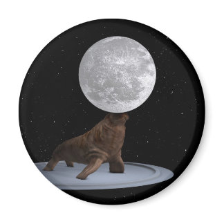 Walrus Balancing The Moon Magnet
