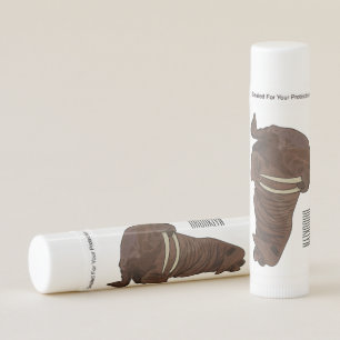 Walrus cartoon illustration lip balm