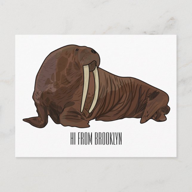 Walrus cartoon illustration postcard (Front)