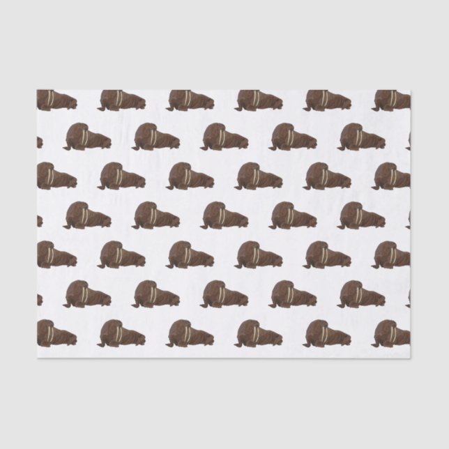 Walrus cartoon illustration tissue paper (Front)