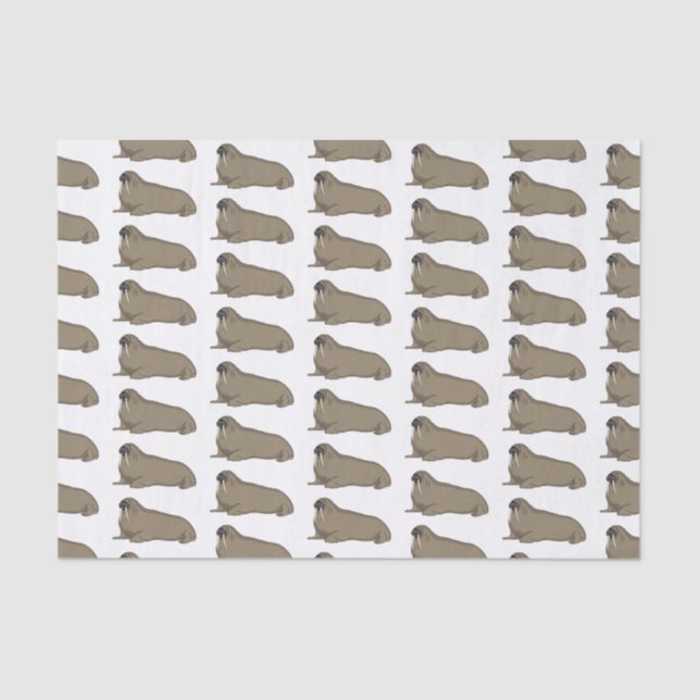 Walrus cartoon illustration tissue paper (Front)