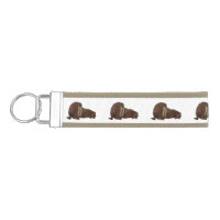 Walrus cartoon illustration