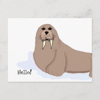Walrus Cartoon Postcard