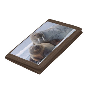 Walrus cow and calf rest on a sea ice floe tri-fold wallet