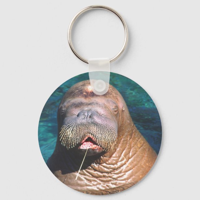 Walrus Eyes Closed Keychain (Front)