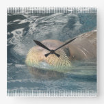 Walrus Face Square Wall Clock
