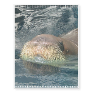 Walrus Face Temporary Tattoos