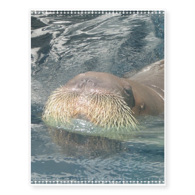 Walrus Face Temporary Tattoos (Front)