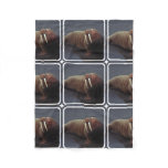 Walrus Fleece Blanket