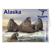 Walrus - Four Brothers (Front Horizontal)