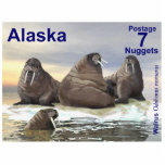 Walrus - Four Brothers - Alaska Postage Cutout<br><div class="desc">Four walrus, Wilson, Winston, Winthrop; and Wilbur in the water, depicted on a postage stamp of an independent Alaska. The walrus (Odobenus rosmarus) is circumpolar in its range but they are found in geographically separate areas. The only living species in the Odobenidae family and Odobenus genus, the walrus is divided...</div>