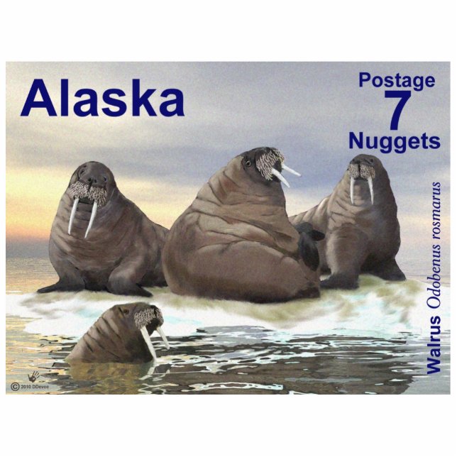 Walrus - Four Brothers - Alaska Postage Cutout (Front)