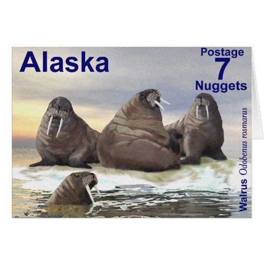 Walrus - Four Brothers Cards (Front Horizontal)