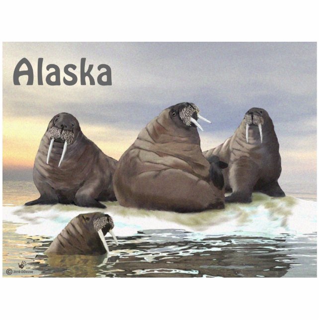 Walrus - Four Brothers Cutout (Front)