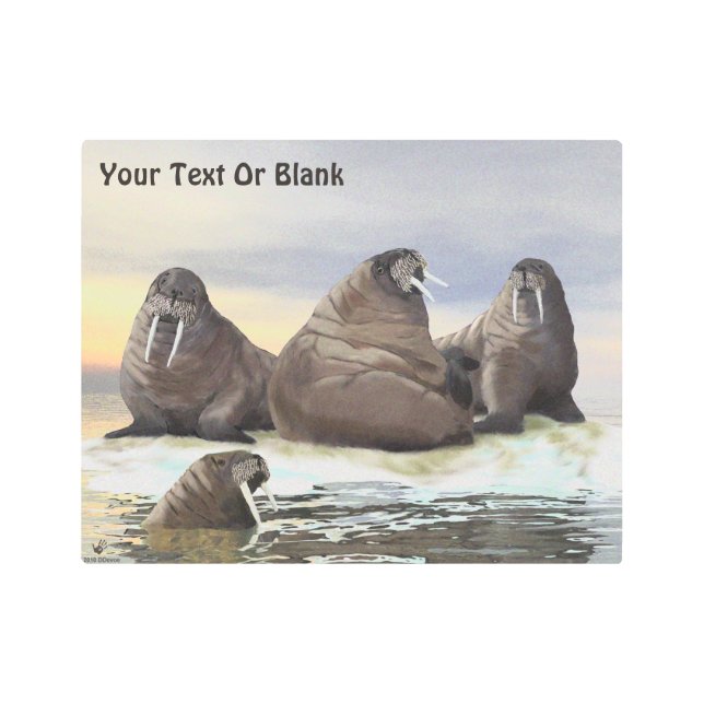 Walrus - Four Brothers Metal Print (Front)