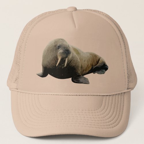 Walrus Hat