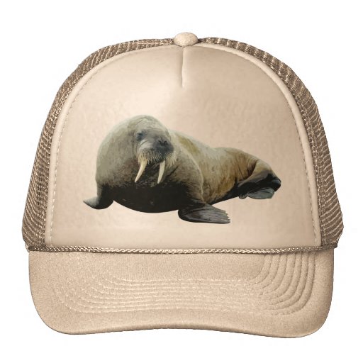 Walrus Hat | Zazzle