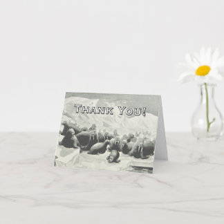 Walrus Herd "Thank You!" Greeting Card