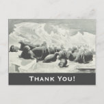 [ Thumbnail: Walrus Herd "Thank You!" Postcard ]