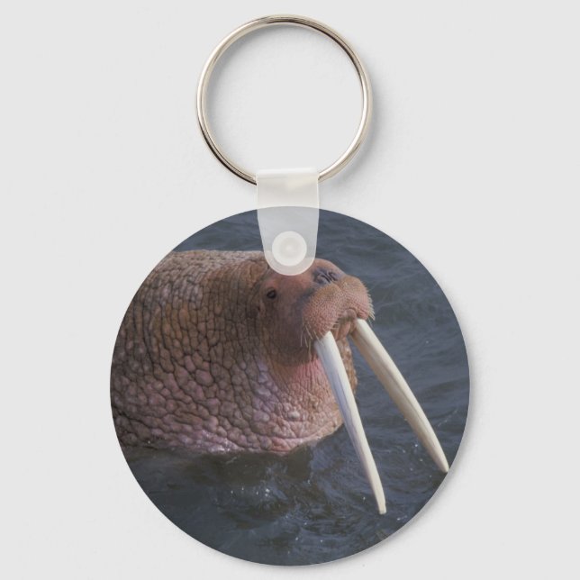 Walrus Keychain (Front)