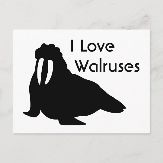 Walrus Love Postcard | Zazzle.com