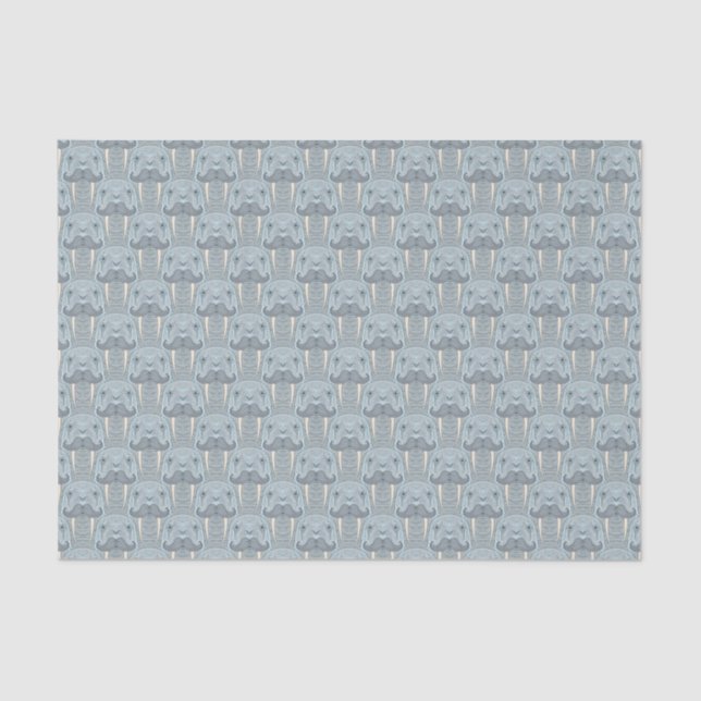 Walrus Mustache Pattern Tissue Paper (Front)