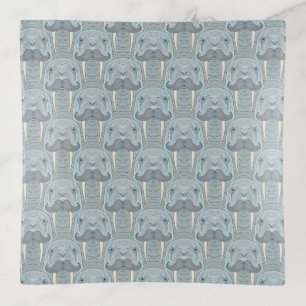 Walrus Mustache Pattern Trinket Tray