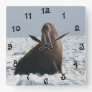 Walrus On Ice Square Wall Clock
