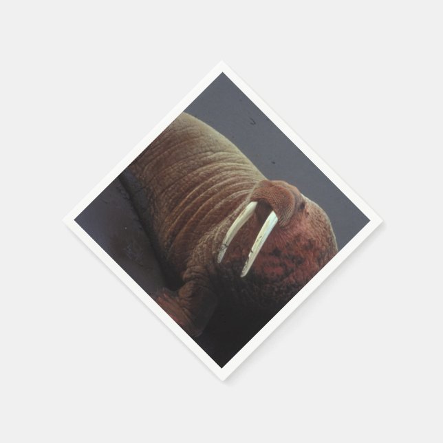 Walrus Paper Napkins (Corner)
