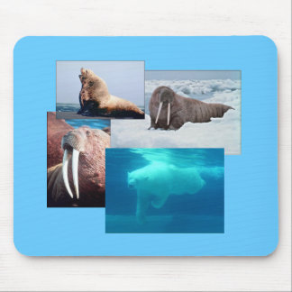 Walrus, Polar Bear, Sea Lion Bull Mousepad