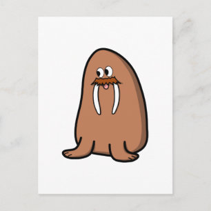 Walrus. Postcard