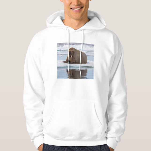 Walrus resting on ice, Norway Hoodie (Front)