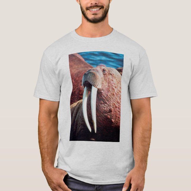 Walrus T-Shirt (Front)
