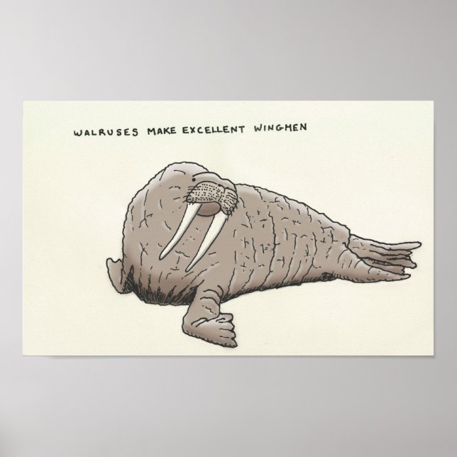 walrus trivia poster (Front)