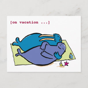 Walrus vacations, [on vacation ...] postcard
