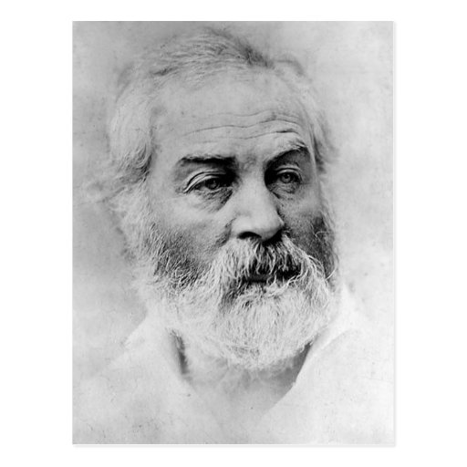 Walt Whitman Age 44 Civil War Years Postcard | Zazzle