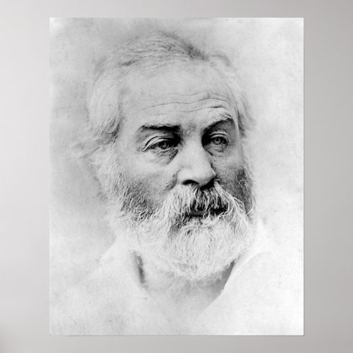 Walt Whitman Age 44 Civil War Years Poster