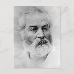 Walt Whitman Civil War Years Age 44 Postcard
